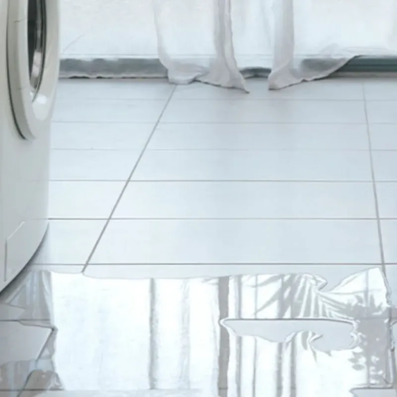 Appliance Leak Cleanup in Meadow Vista, CA