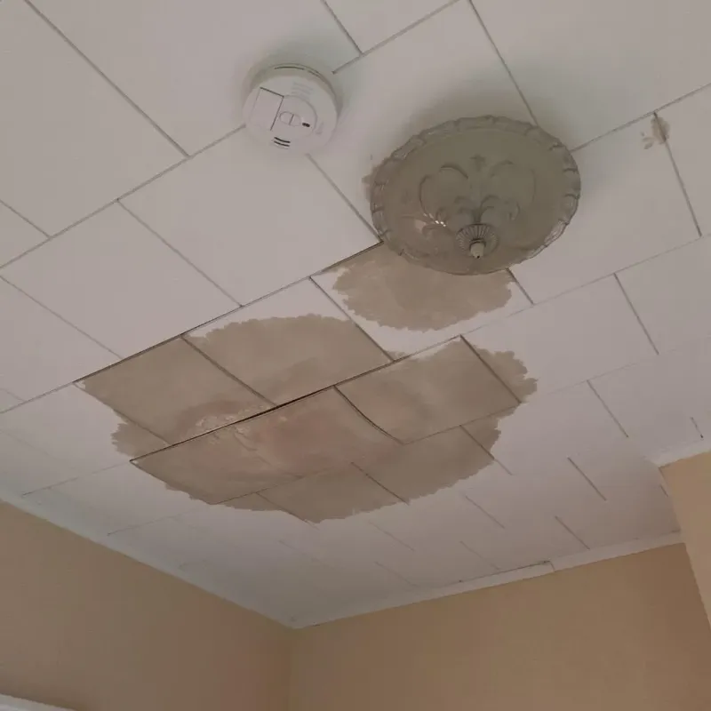 Ceiling Water Damage Repair in Meadow Vista, CA